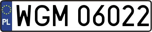 WGM06022