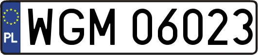WGM06023