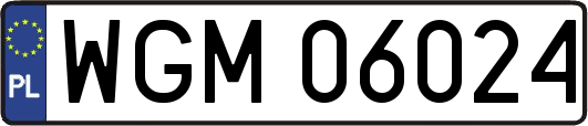 WGM06024