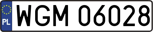 WGM06028