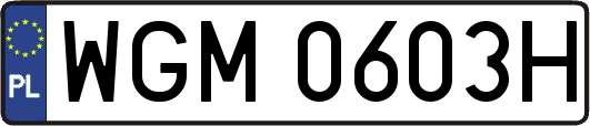 WGM0603H