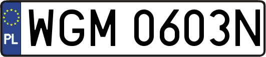 WGM0603N
