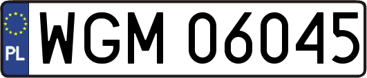 WGM06045