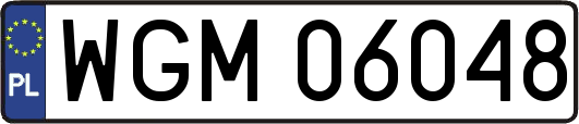 WGM06048