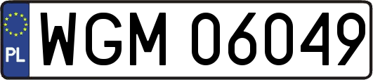 WGM06049