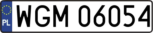 WGM06054