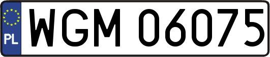WGM06075