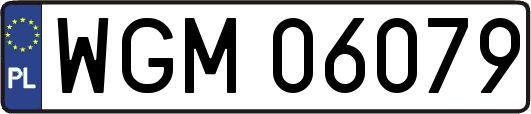 WGM06079