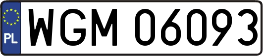 WGM06093