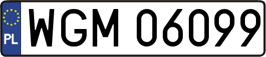 WGM06099