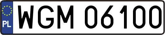 WGM06100