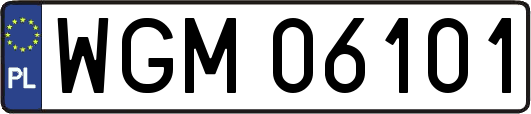WGM06101