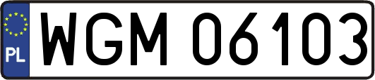 WGM06103