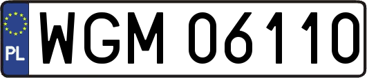 WGM06110
