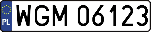 WGM06123