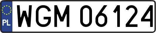 WGM06124