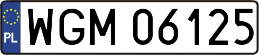 WGM06125