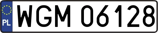 WGM06128