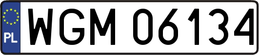 WGM06134