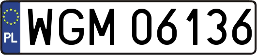 WGM06136