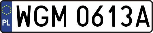 WGM0613A