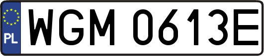 WGM0613E