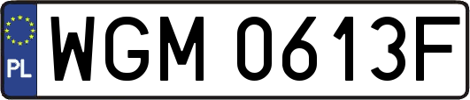 WGM0613F