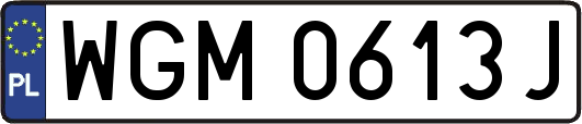 WGM0613J