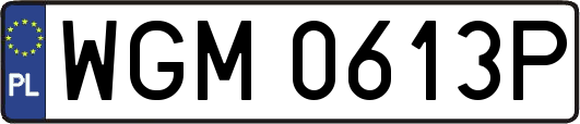 WGM0613P