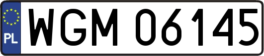 WGM06145