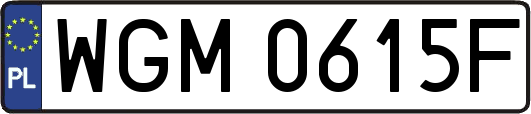 WGM0615F