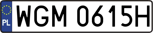 WGM0615H