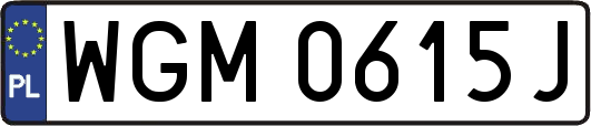WGM0615J
