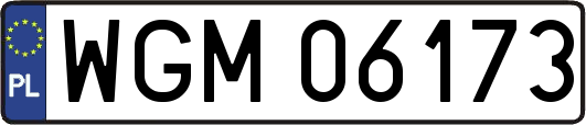 WGM06173