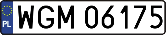 WGM06175