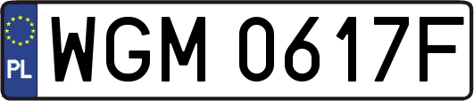 WGM0617F