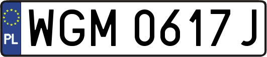 WGM0617J