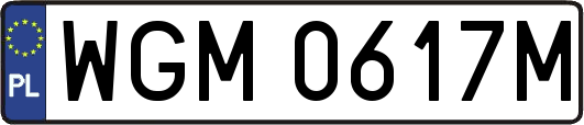 WGM0617M