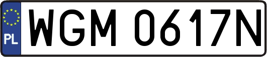 WGM0617N