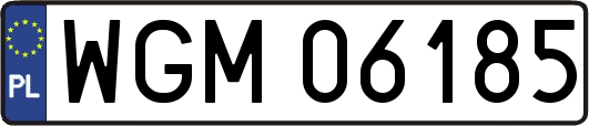 WGM06185