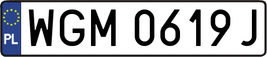 WGM0619J