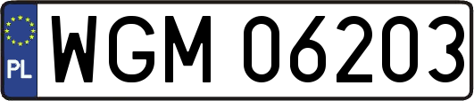 WGM06203