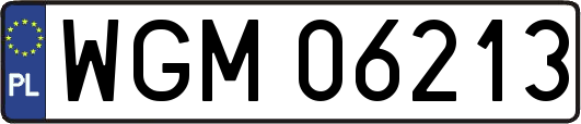 WGM06213