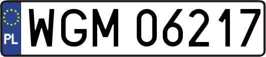 WGM06217