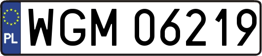 WGM06219