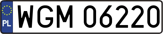 WGM06220
