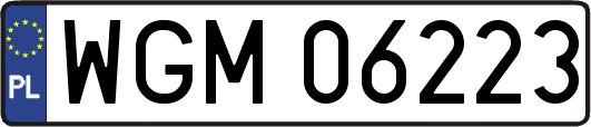 WGM06223