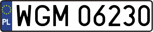 WGM06230