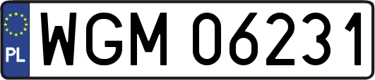 WGM06231