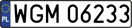 WGM06233